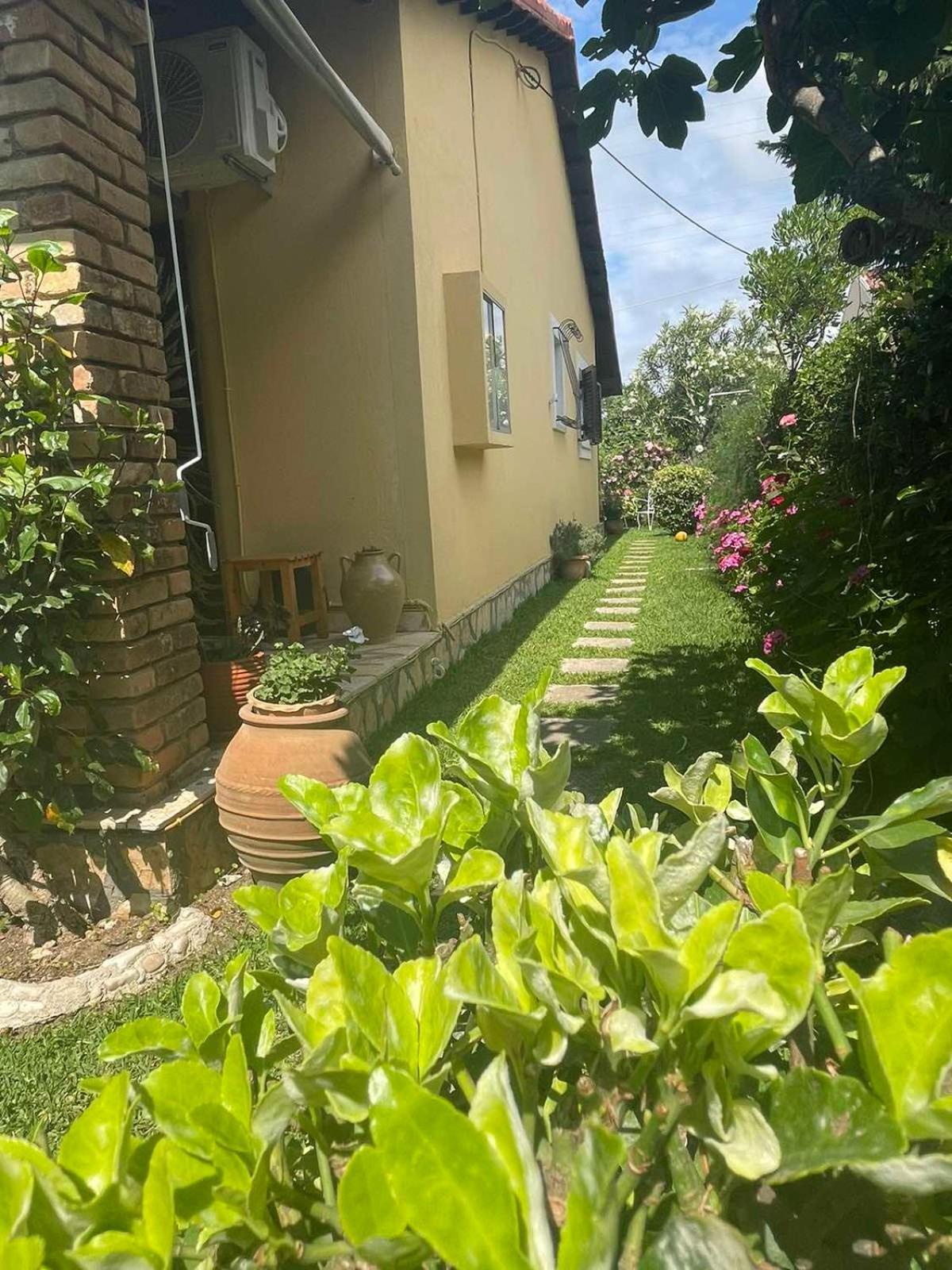 Villa Tina Country Beach Apartments Acharavi  Room photo